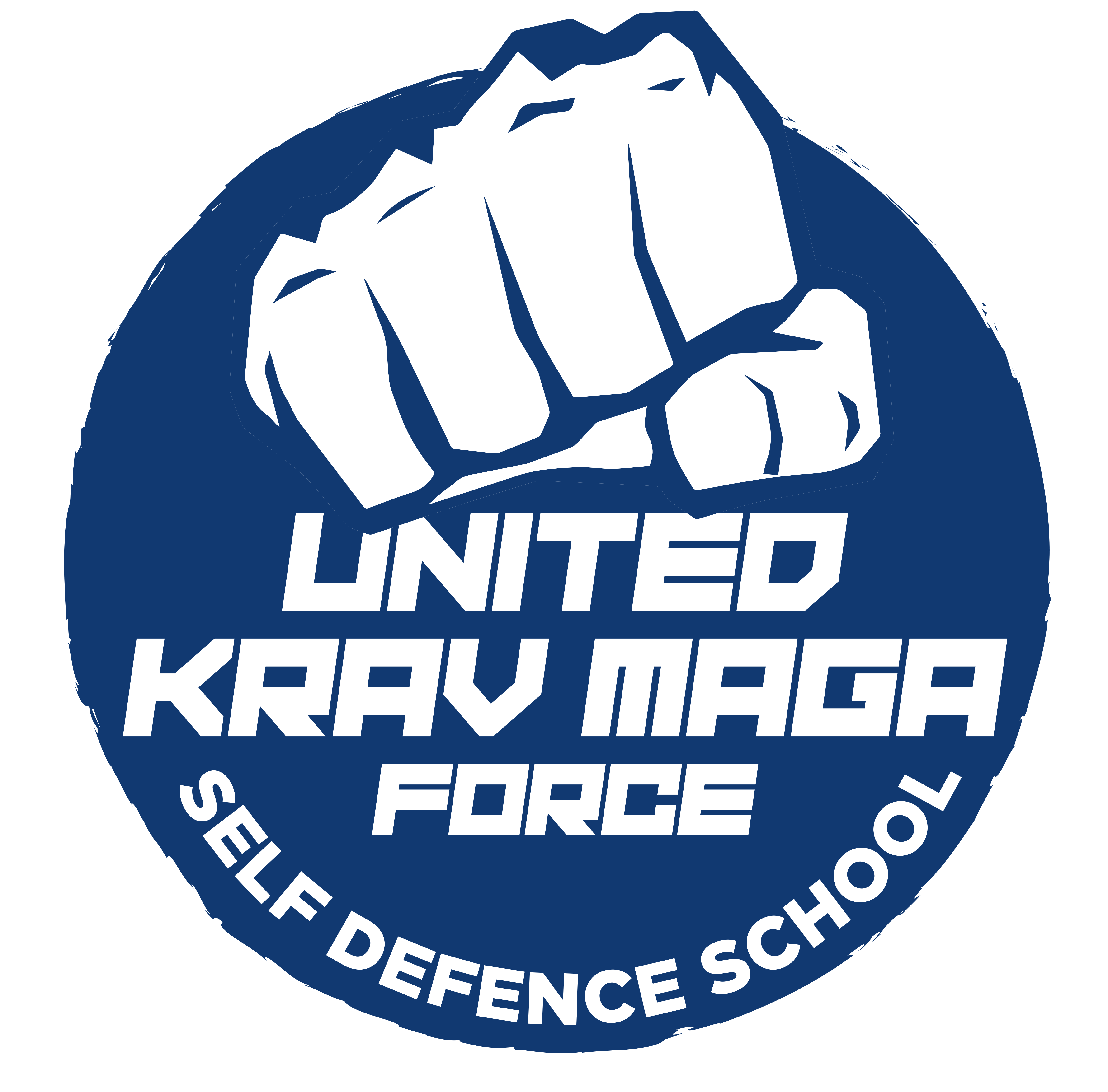 krav maga force self defence school